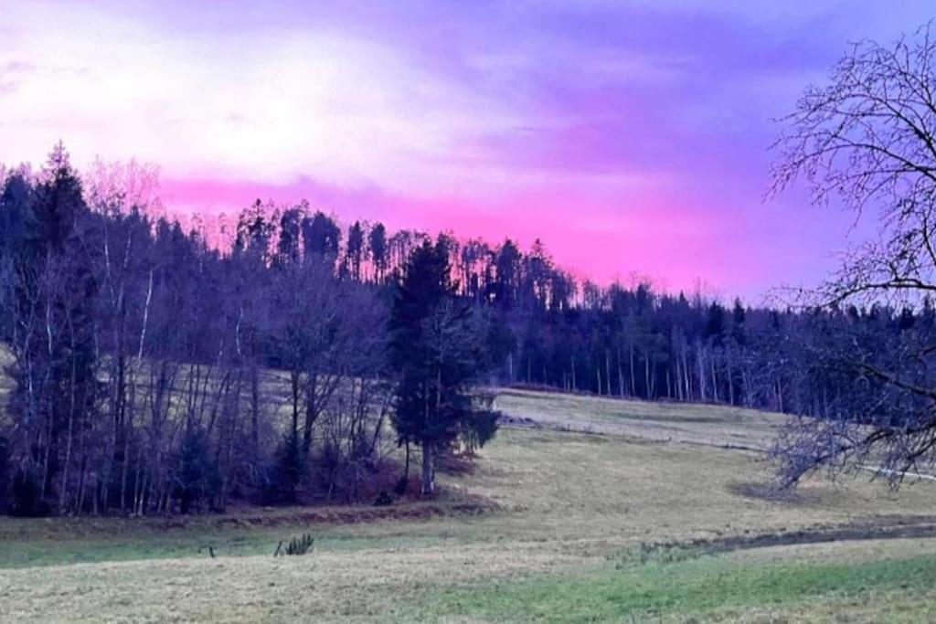 Gite De La Ravanne Ramonchamp Bagian luar foto